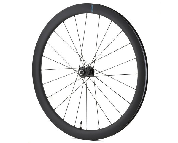 Shimano RS710 C46 Front Wheel (Black) (12 x 100mm) (700c / 622 ISO) (Centerlock... - EWHRS710C46LFED