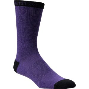 Competitive Cyclist Wool Sock Violet, S - Men's