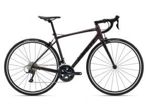 Giant Contend 1 Road Bike 2023 Large - Rosewood