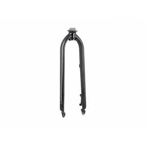 Electra Townie Go! 5i 26" Rigid Fork