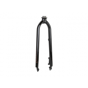 Electra Townie Go! 8i Ladie's Disc Brake Forks