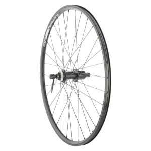 Quality Wheels Value Double Wall Series Rim/Disc Rear Wheel (Black) (Shimano HG) (QR x 135mm) (26")