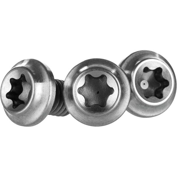 Cane Creek eeWings Chainring Bolt