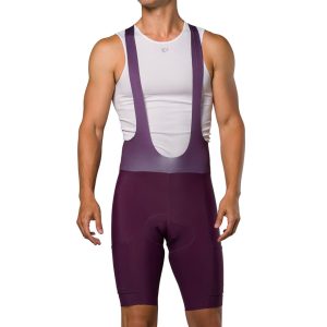 Pearl Izumi Expedition Bib Shorts (Dark Violet) (L)