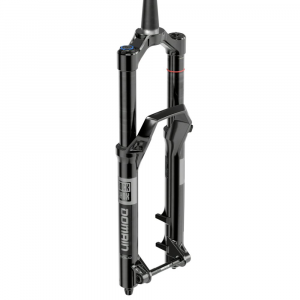 Rockshox | Domain Gold Fork 15X110 160Mm Black