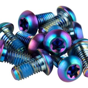 SRAM Titanium Rotor Bolt Kit (Rainbow) (T25) (Set of 12)