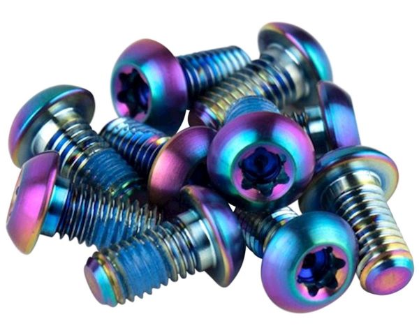 SRAM Titanium Rotor Bolt Kit (Rainbow) (T25) (Set of 12)