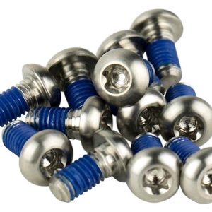 SRAM Titanium Rotor Bolt Kit (Silver) (T25) (Set of 12)