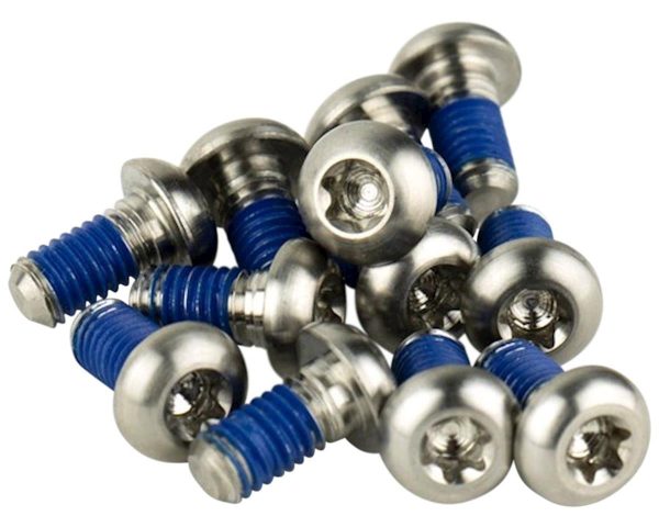 SRAM Titanium Rotor Bolt Kit (Silver) (T25) (Set of 12)