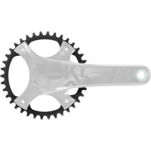 Campagnolo Ekar Chainring - 13 Speed - Black / 42 / 13 Speed