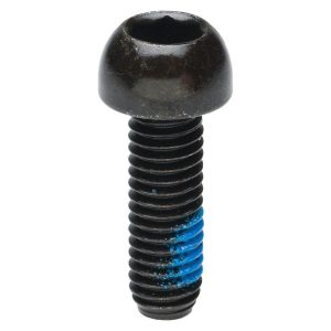 Hayes Disc Brake Caliper Mounting Bolts (Black) (10 Pack)