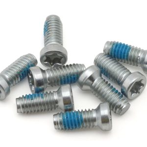 SRAM Crank Spider Torx Bolt Kit (Silver) (T20) (8)