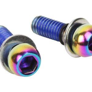 SRAM Disc Brake Caliper Mounting Bolts (Rainbow) (Stainless)