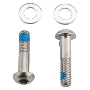 SRAM Flat Mount Bolts (42mm) (Titanium) (T25) (Pair)