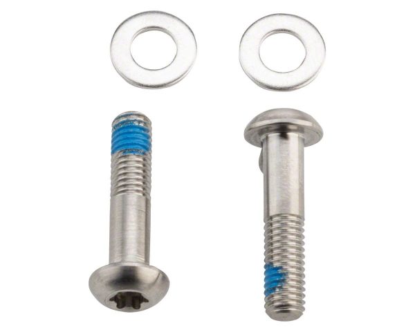 SRAM Flat Mount Bolts (42mm) (Titanium) (T25) (Pair)