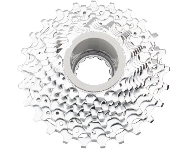 SRAM PG-1050 Cassette (Silver) (10 Speed) (Shimano HG) (12-25T)