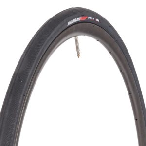 Specialized Roubaix Pro Endurance Road Tire (Black) (700c) (25/28mm) (Folding) (Gripton)