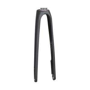 Trek 2020 Domane SL 6 700c Rigid Forks