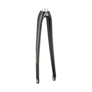 Trek 2021 Domane AL 2 700c Rigid Forks