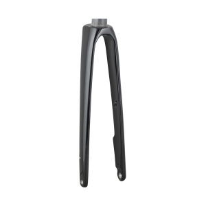 Trek 2021 Domane SL 700c Rigid Forks